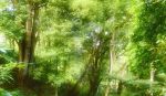 随烦恼