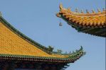 使修行显示