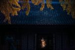 手足缦网相