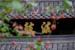身金色相
