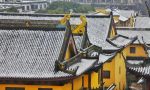 四牙白净相