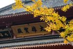 伽字门