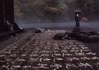 华严经七处八会