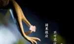 一恒河沙