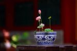 一乘法门
