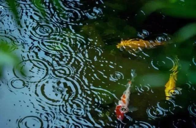 1605577428112304.jpg 微信图片_20201105115028.jpg