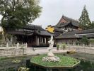 八师