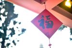 七等觉支