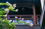 七经
