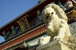 入金刚问定意经