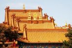 七条衣
