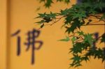 十种梦