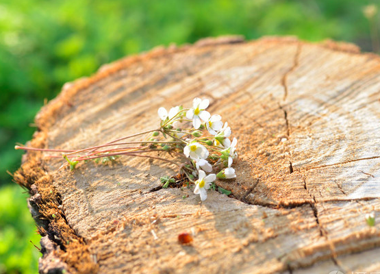 1605775225188909.png 微信图片_20201014161136.png