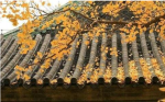民国沈婆《净土圣贤录》