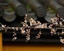 菩萨童子经