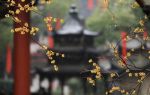 菩萨璎珞经