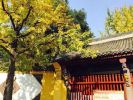 菩萨生地经
