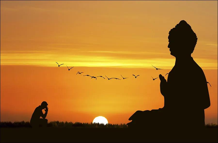 1606014155650726.jpg 微信图片_20201108110012.jpg