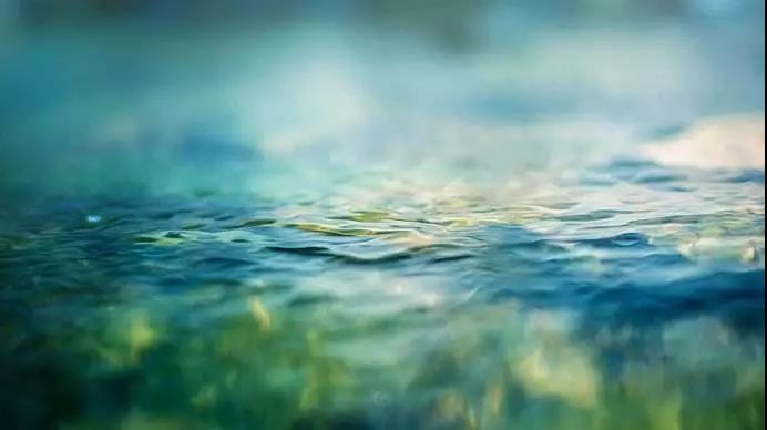 1606098659926517.jpg 微信图片_20201106114310.jpg