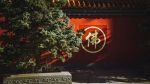 唐道绰（道抚）《净土圣贤录》