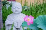 宋太微《净土圣贤录》