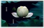 明大云《净土圣贤录》