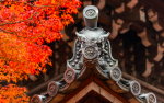 宋阎邦荣《净土圣贤录》