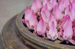 宋蒋十八妻（并夫）《净土圣贤录》