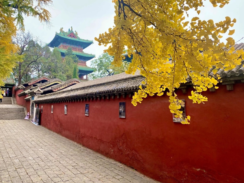 1606804371129461.jpg 微信图片_20201120084351.jpg