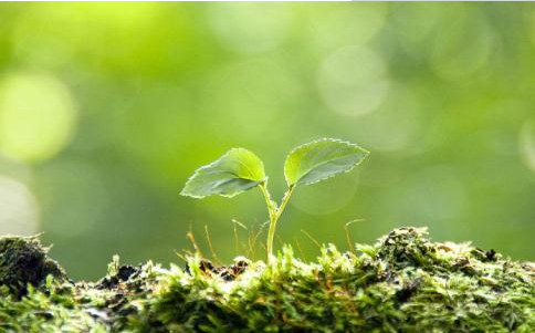 1606805703163908.png 5.png