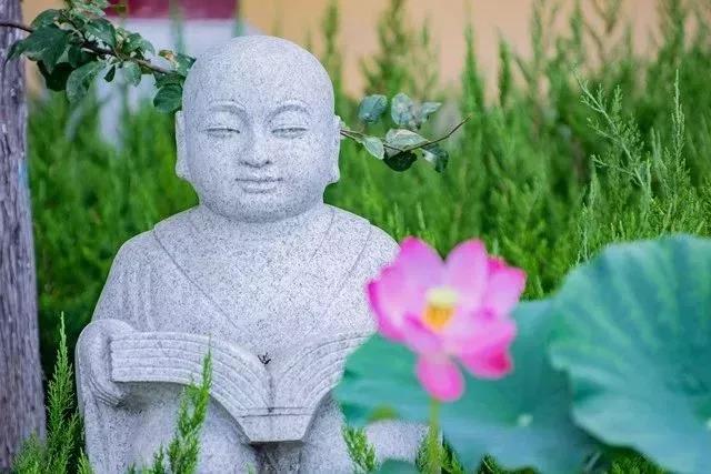 1606871920460870.jpg 微信图片_20201102140521.jpg