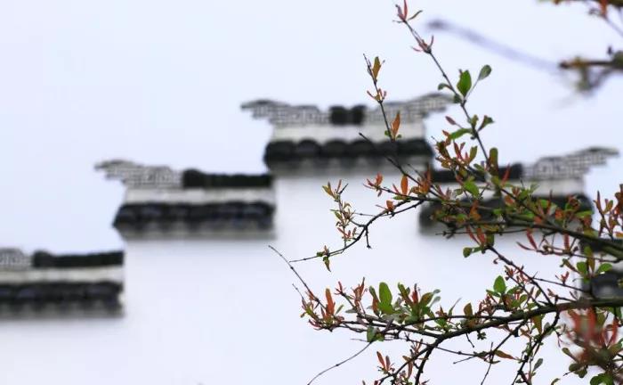 1606957433416547.jpg 微信图片_20201103171714.jpg