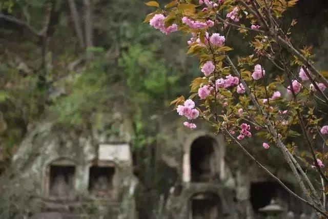 1606959262887100.jpg 微信图片_20201106120215.jpg