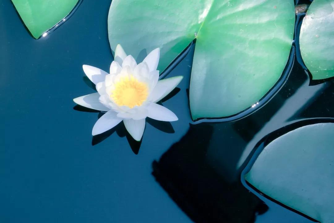 1606980616789977.jpg 微信图片_20201103144033.jpg