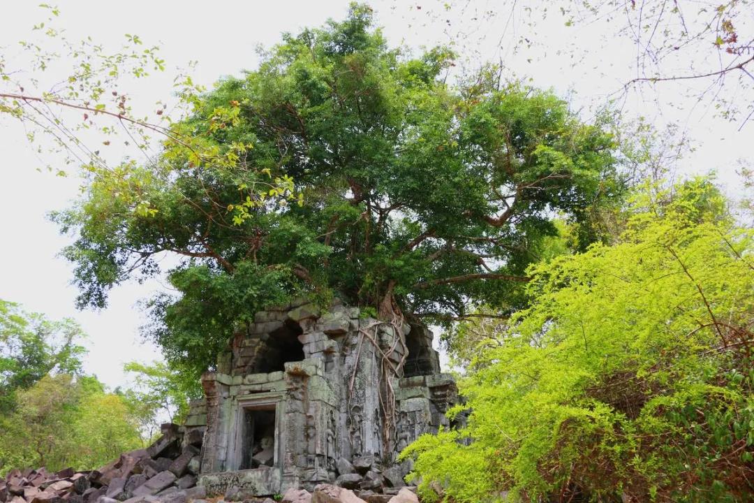 1607052729567158.jpg 微信图片_20201102092643.jpg