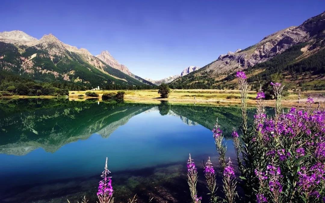 1607321650932348.jpg 微信图片_20201102092849.jpg