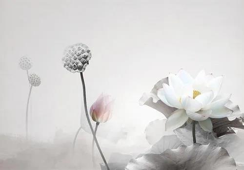 1608167735424009.jpg 微信图片_20201102093237.jpg