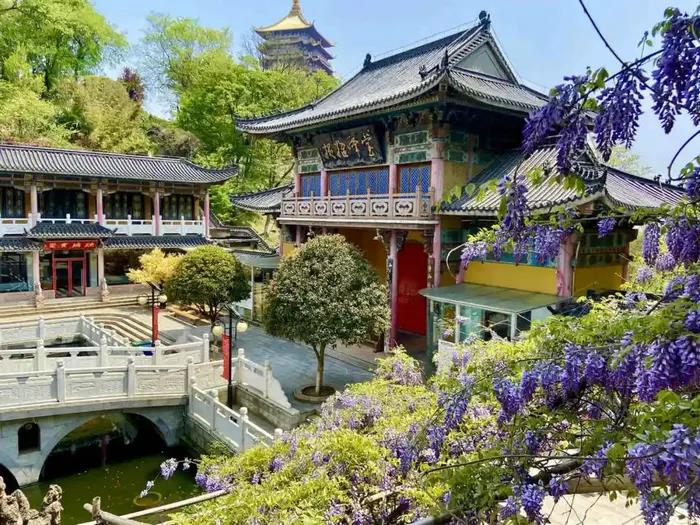 1608254206921083.jpg 微信图片_20200921104803.jpg