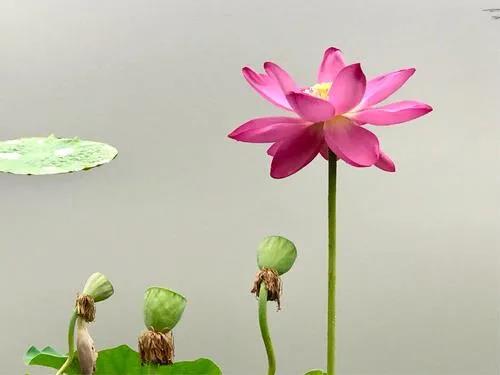 1608537499575606.jpg 微信图片_20201102093034.jpg