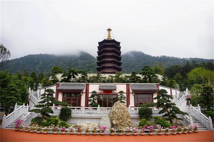 1608685409283930.jpg 5.jpg