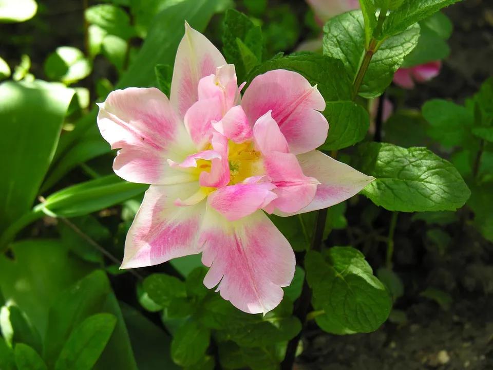 1608863983449822.jpg 微信图片_20201102093525.jpg