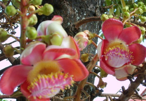 1608885084344267.jpg 微信图片_20200911110343.jpg