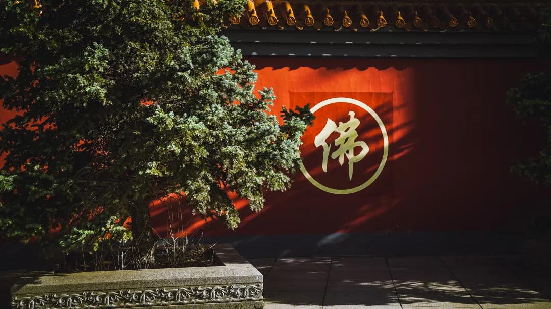 1609124586746726.jpg 微信图片_20201106115935.jpg