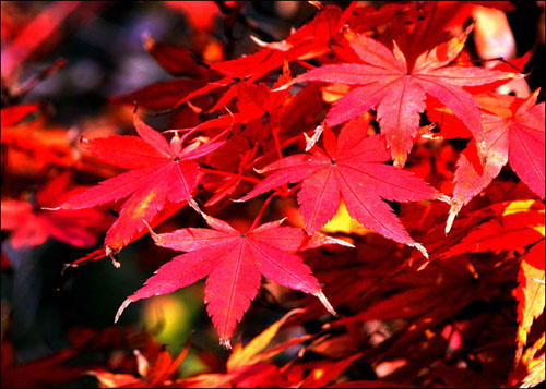 1609141902238522.jpg 微信图片_20200911084241.jpg