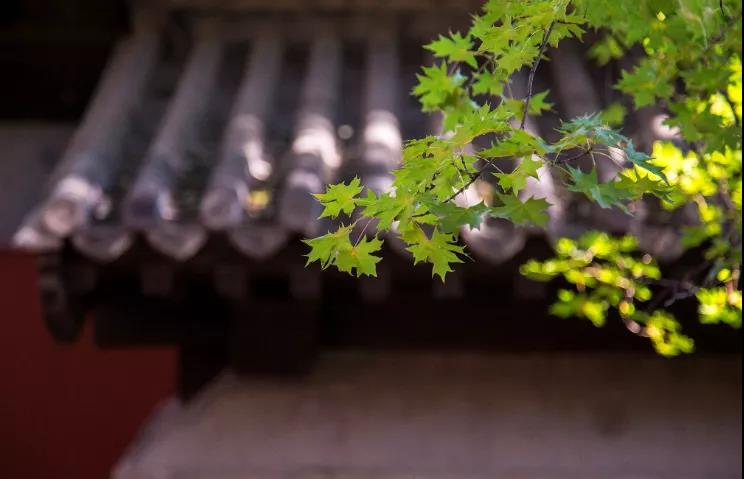 1609208518611053.jpg 微信图片_20201106120304.jpg