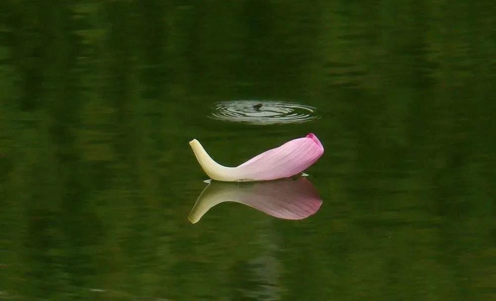 1609310051292484.jpg 微信图片_20201102093554.jpg