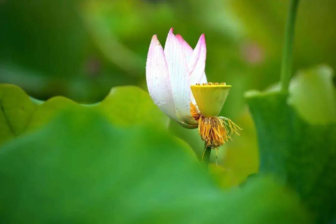 1609312154144099.jpg 微信图片_20201103154547.jpg