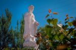 瑜伽师地论(yogacara-bhumi-sastra)
