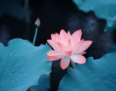 1610350420262750.jpg 14.jpg