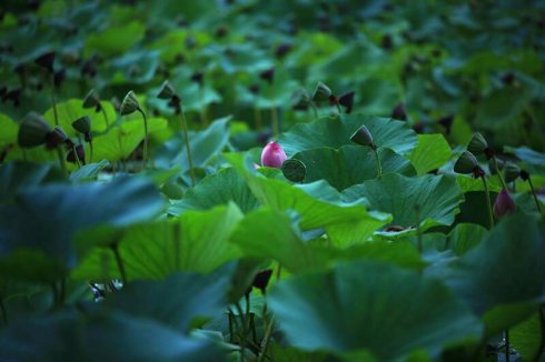 1610351777707221.jpg 28.jpg